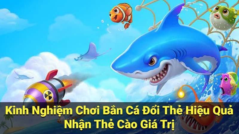 Kinh Nghiệm Chơi Bắn Cá Đổi Thẻ Hiệu Quả, Nhận Thẻ Cào Giá Trị