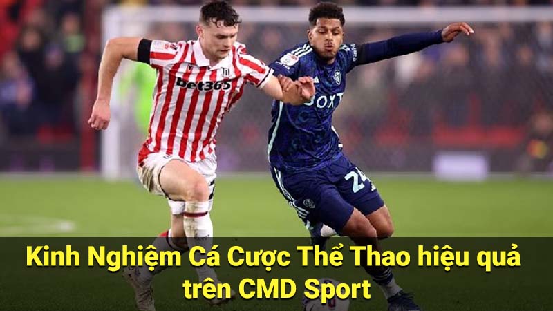 Kinh Nghiệm Cá Cược Thể Thao hiệu quả trên CMD Sport