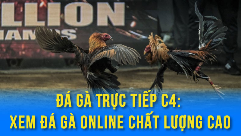da ga truc tiep c4 01