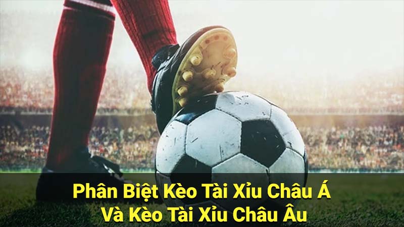 Phân Biệt Kèo Tài Xỉu Châu Á Và Kèo Tài Xỉu Châu Âu