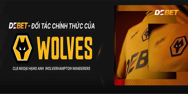 Những điểm cần chú ý về miễn trừ trách nhiệm tại Debet?